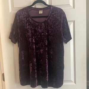 Short sleeved crushed velvet purple T.